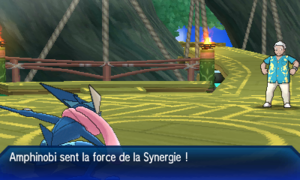 Fichier:Synergie USUL.png