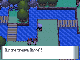 Route 209 Rappel DP.png