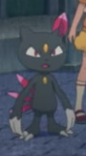Fichier:Farfuret de Dresseur - Film 23.png