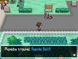 Fichier:Route 9 Rapide Ball N2B2.png