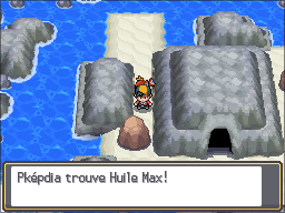 Fichier:Chenal 41 Huile Max HGSS.png