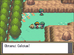 Fichier:Route 46 Calcium HGSS.png