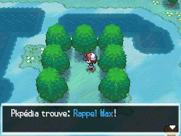 Tourbière Flocombe Rappel Max NB.png