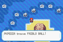 Camp de Vacances Faiblo Ball RFVF.png