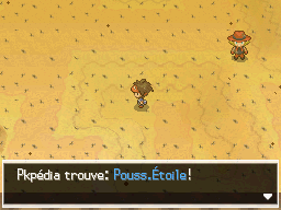 Fichier:Désert Délassant Pouss.Étoile N2B2.png