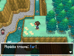 Fichier:Route 23 Fer N2B2.png