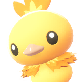 Miniature 0255 ♂ chromatique LPZA.png