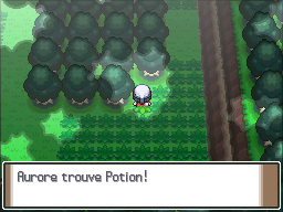 Forêt Vestigion Potion Pt.png