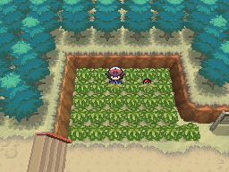 Objet Route 3 (Unys) Super Potion NB.png