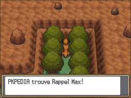 Aire de repos du Mont Sélénite Rappel Max HGSS.png