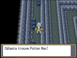 Fichier:Grotte Argentée Potion Max HGSS.png