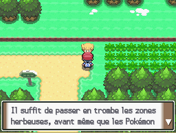Cap ecran route 201 1 Platine.png