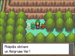 Fichier:Route 46 Noigrume Vert HGSS.png