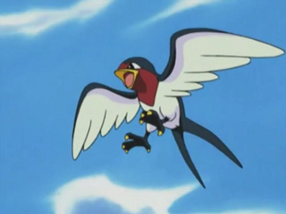 Fichier:AG043 - Nirondelle de Sacha.png