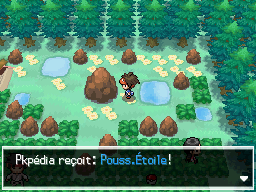 Fichier:Forêt d'Empoigne Pouss.Étoile N2B2.png