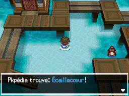Fichier:Papeloa Écaillecœur 2 N2B2.png