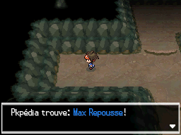 Fichier:Chemin Enfoui Max Repousse 2 N2B2.png