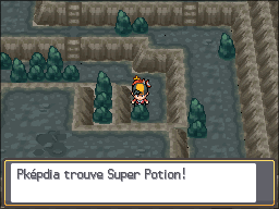 Fichier:Puits Ramoloss Super Potion Cachée HGSS.png