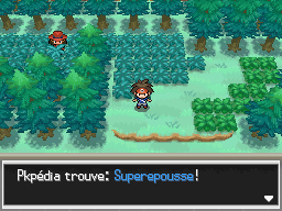 Fichier:Route 5 Superepousse N2B2.png