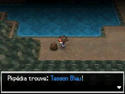 Fichier:Chemin Enfoui Tesson Bleu N2B2.png