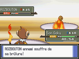 Brûlure - Flamme - DPP.png