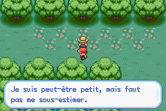 Cap écran Forêt de Jade Scout Anthony.png