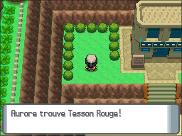 Route 213 Tesson Rouge DP.png