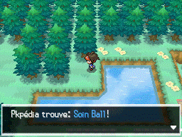 Fichier:Autel Abondance Soin Ball N2B2.png