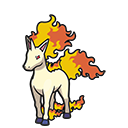 Galopa