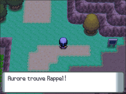 Route 207 Rappel DP.png