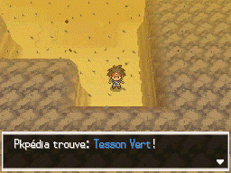 Fichier:Désert Délassant Tesson Vert N2B2.png