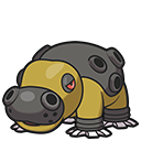 Hippodocus