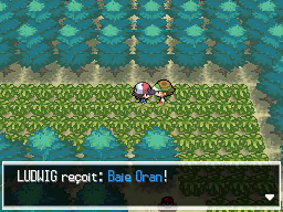 Objet Route 3 (Unys) Baie Oran NB.png