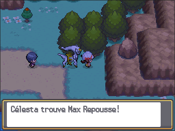 Route 44 Max Repousse HGSS.png