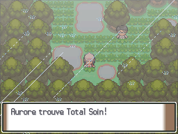 Route 212 Total Soin Pt.png