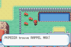 Parmanie Rappel Max RFVF.png