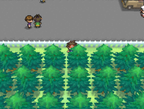 Fichier:Vokit Route 5.png