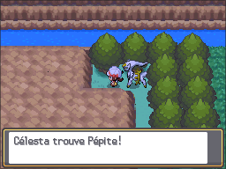 Route 48 Pépite HGSS.png