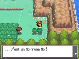 Fichier:Route 33 Noigrume Noir HGSS.png