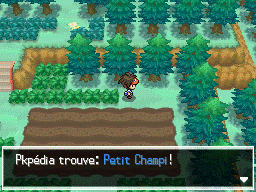 Fichier:Autel Abondance Petit Champi N2B2.png