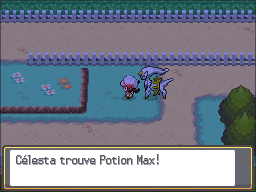 Route 38 Potion Max HGSS.png