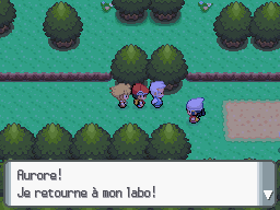 Cap ecran route 201 2 dp.png