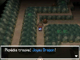 Fichier:Grotte Parsemille Joyau Dragon N2B2.png
