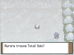 Route 217 Total Soin Pt.png