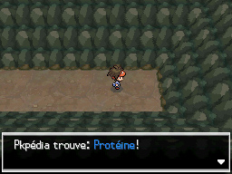 Fichier:Chemin Enfoui Protéine N2B2.png