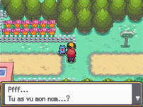 Silver Ville Griotte HGSS.png