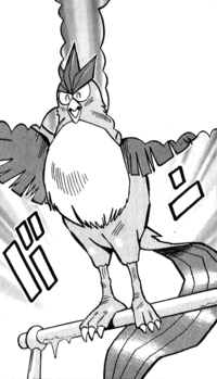 Artikodin de Red - Pocket Monsters.png