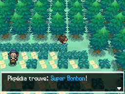 Fichier:Pont du Hameau Super Bonbon N2B2.png