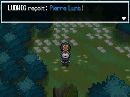 Objet Forêt d'Empoigne Pierre Lune NB.png