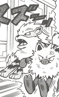 Colossinge2 et Arcanin de Red - Pocket Monsters.png